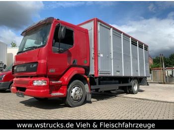 Transporte de ganado camión DAF LF 55 Einstock KABA: foto 1