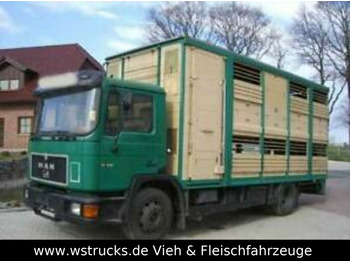 Transporte de ganado camión MAN 14232  KABA Doppelstock: foto 1