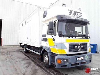 Transporte de ganado camión MAN 14.264 horses/chevaux: foto 1