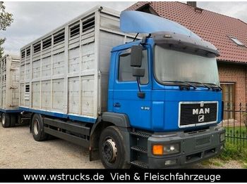 Transporte de ganado camión MAN 19.343 mit Lafaro Doppelstock wenig Kilometer: foto 1