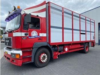 Transporte de ganado camión nuevo MAN 19 FL 4x2, Dobble Stock, Waage, TUV: 10-2020, Wasser Tank, TOP Zusatnd !!!: foto 1