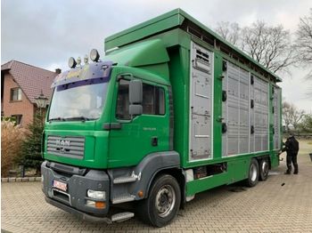 Transporte de ganado camión MAN 26.350 LX Finkl 3 Stock Hubdach Lift: foto 1