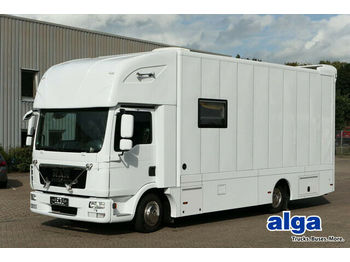 Transporte de ganado camión MAN 7.150 BL TGL, Pferdetransporter,Verkaufsfahrzeug: foto 1