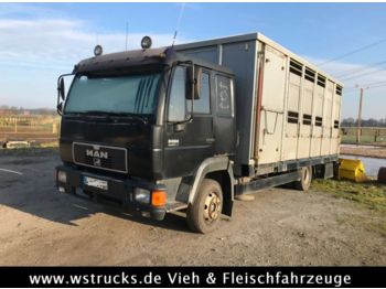 Transporte de ganado camión MAN 8.224 mit Einstock Aluaufbau: foto 1