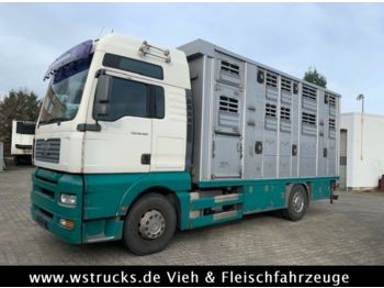 Transporte de ganado camión MAN TGA 18.480 XL mit Finkl 3 Stock: foto 1