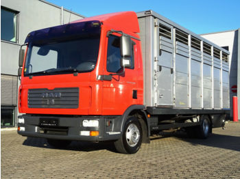 Transporte de ganado camión MAN TGL 12.240/  Manual / Euro 3: foto 1