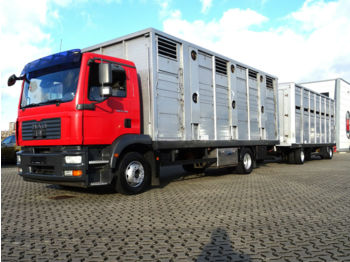 Transporte de ganado camión MAN TGM 15.280/ 2-Stock / Manual / Euro 4: foto 1