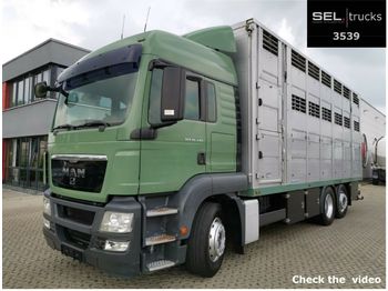 Transporte de ganado camión MAN TGS 26.440 / 3 Stock  Menke Janzen/ Lenkachse: foto 1