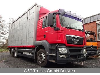Transporte de ganado camión MAN TGX 26.440 LX Menke 3 Stock Hubdach: foto 1