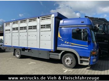 Transporte de ganado camión Mercedes-Benz 1328 L Finkl 2 Stock Vollalu "TÜV NEU": foto 1