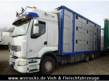Transporte de ganado camión Renault 450 DXI  Menke 3 Stock Hubdach: foto 1