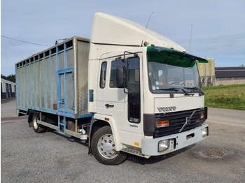 Volvo FL 611 Beestenbak / animal truck - Transporte de ganado camión: foto 2