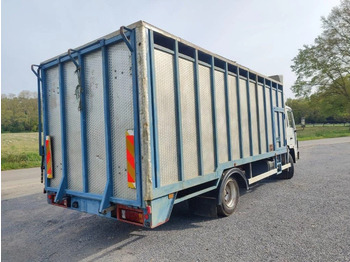 Volvo FL 611 Beestenbak / animal truck - Transporte de ganado camión: foto 4