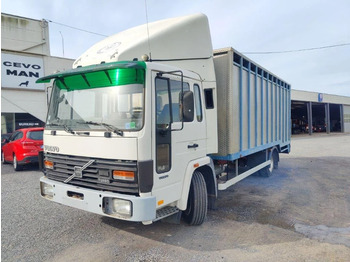 Volvo FL 611 Beestenbak / animal truck - Transporte de ganado camión: foto 1