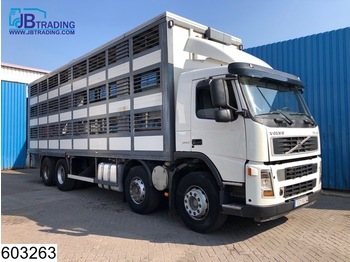 Transporte de ganado camión Volvo FM 380 8x2, 12 wheels, Retarder, Animal transport, 3 layers, Manual, Steel suspension: foto 1