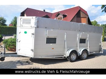 Transporte de ganado remolque Blomert Einstock Vollalu 5,70 m: foto 1