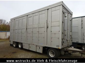Transporte de ganado remolque Menke 2 Stock Ausahrbares Dach Vollalu  7,50m: foto 1