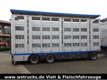 Transporte de ganado remolque Menke 4 Stock Ausahrbares Dach  Vollalu Typ 2: foto 1