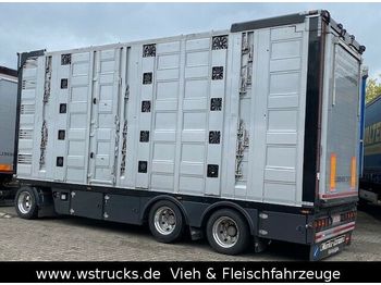 Transporte de ganado remolque Menke 5 Stock Unfall  Hubdach  Vollalu Typ 2: foto 1