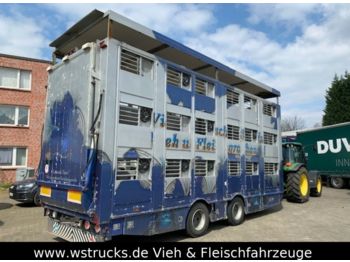 Finkl Tandem Hubdach 3 Stock  - Transporte de ganado remolque