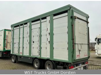 KABA 3 Stock  Hubdach  Vollalu 7,80 m  - Transporte de ganado remolque