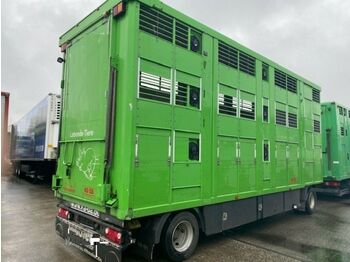 KABA 3 Stock  Vollalu 7,30m  - Transporte de ganado remolque