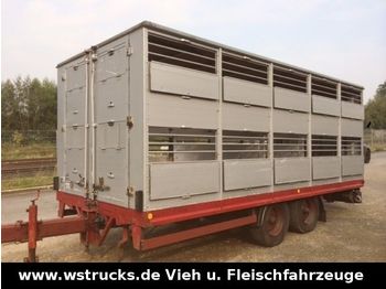 KABA Tandem Einstock  - Transporte de ganado remolque