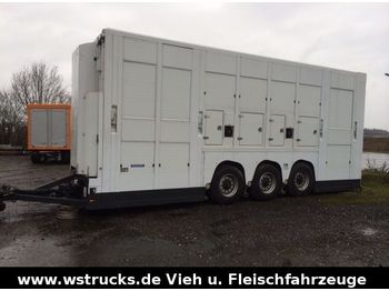 Menke Tridem Doppelstock  - Transporte de ganado remolque