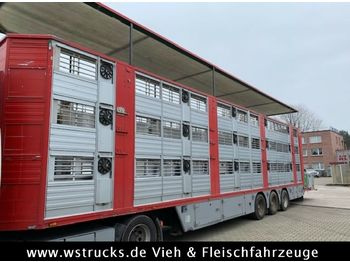 Transporte de ganado semirremolque Finkl 3 Stock Ausahrbares Dach Vollalu Typ 2: foto 1