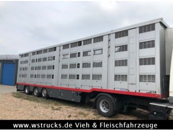 Transporte de ganado semirremolque Menke 4 Stock Lenk Lift Typ2 Lüfter Dusche Tränk: foto 1