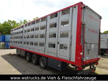 Transporte de ganado semirremolque Menke 4 Stock   Lüfter  Tränk: foto 1