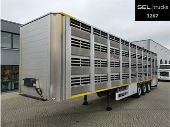 Transporte de ganado semirremolque Pezzaioli CIMC / SR03 / 4 Stock / Typ 2 / Ferkeltransporte: foto 1