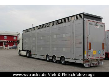 Transporte de ganado semirremolque Pezzaioli SBA31-SR  3 Stock  Vermietung: foto 1