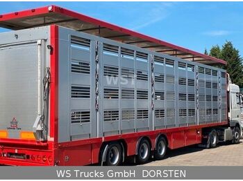 Menke-Janzen 4 Stock Vollalu Typ 2 Lenkachse  - Transporte de ganado semirremolque