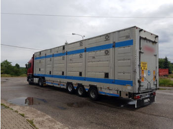 PEZZAIOLI  - Transporte de ganado semirremolque