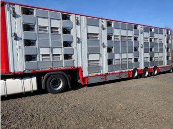 PEZZAIOLI SBA32U - Transporte de ganado semirremolque