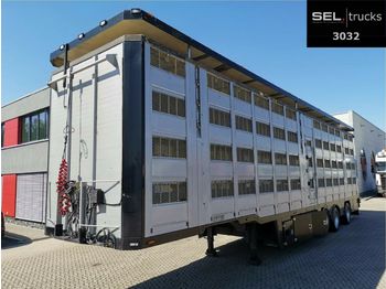 Pezzaioli Menke-Janzen / 4 Stock / Hudbach / Lenkachse  - Transporte de ganado semirremolque