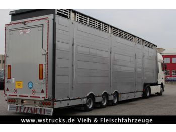 Pezzaioli SBA31-SR  3 Stock "Neu" Vermietung  - Transporte de ganado semirremolque