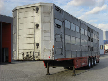 Pezzaioli SBA63U / 3 Achsen / BPW-Achsen / 3 Stock  - Transporte de ganado semirremolque