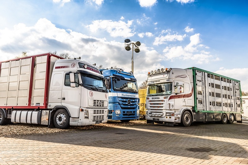 WS Trucks GmbH - Cabezas tractoras undefined: foto 1